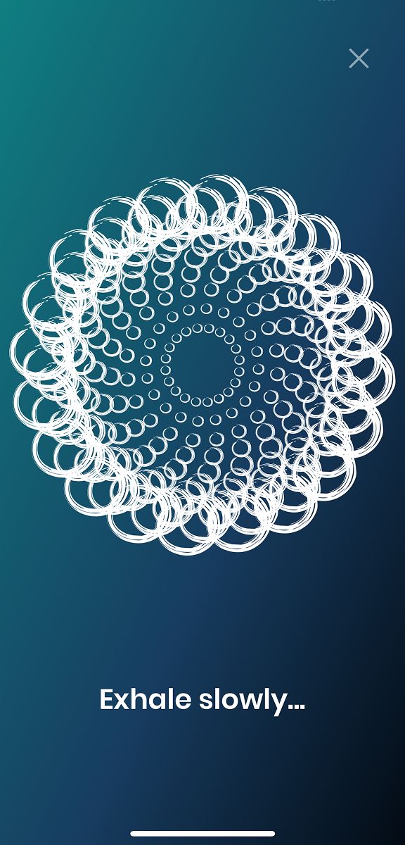 Mamazen concept 5