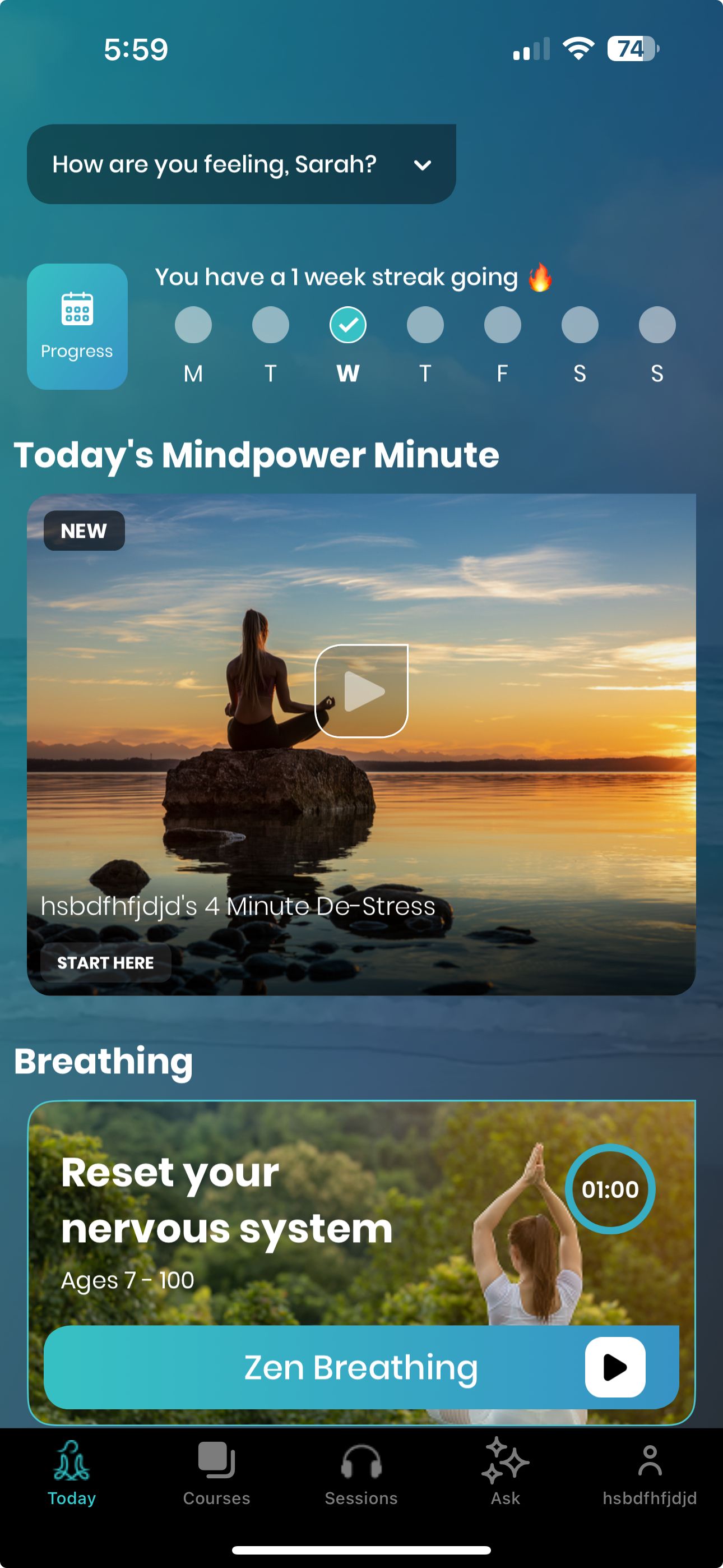 App screenshot