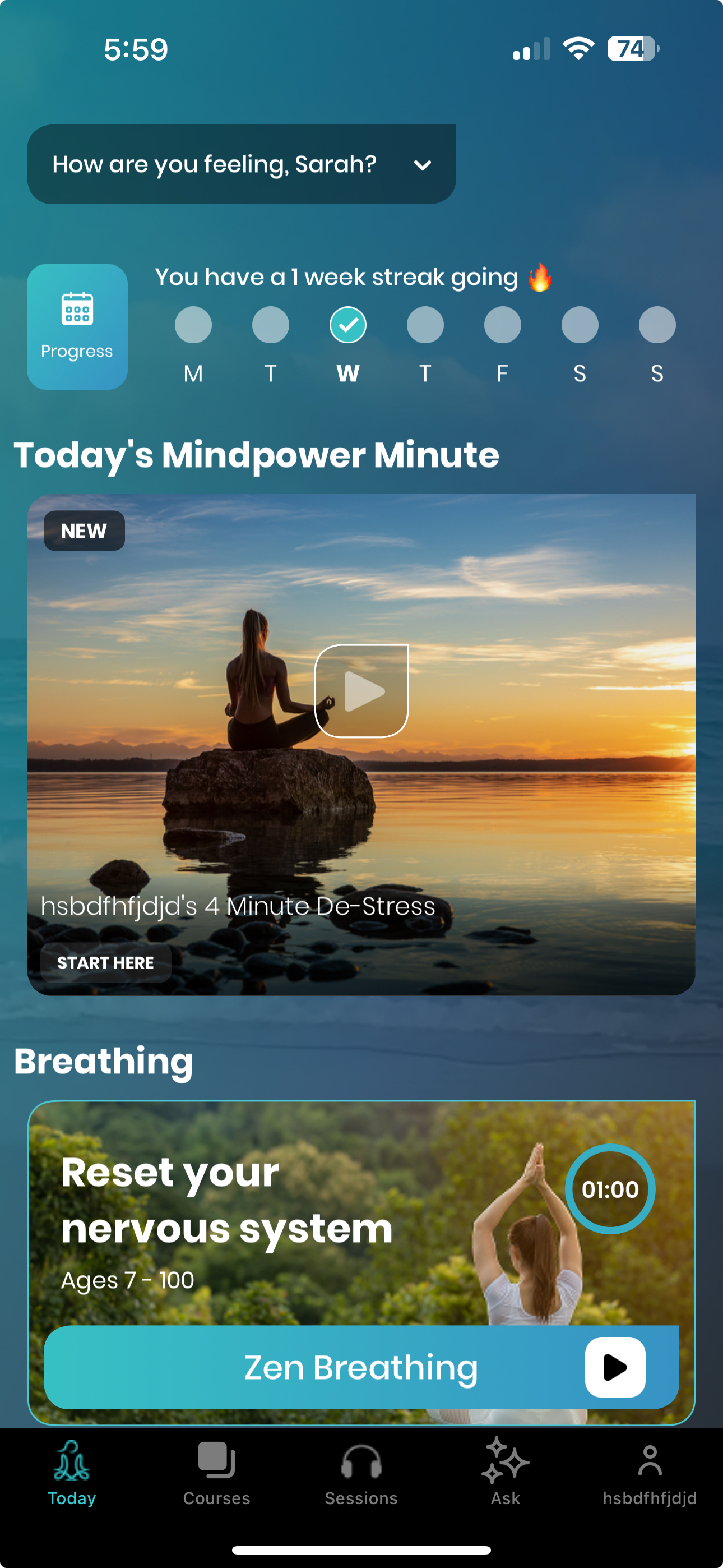 App screenshot